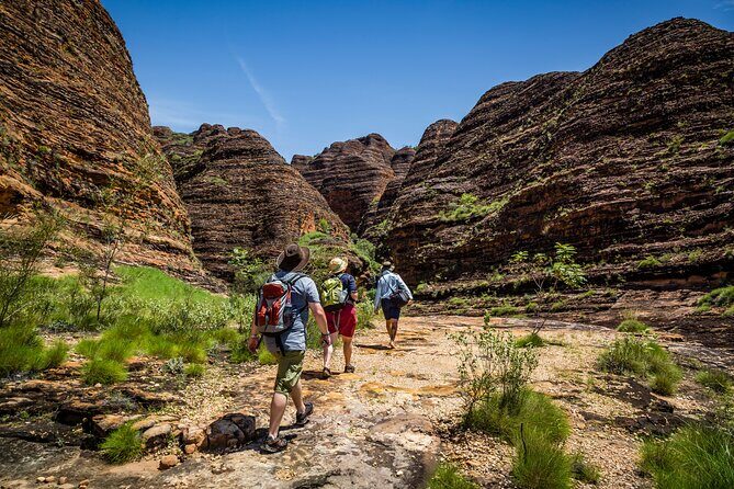 Bungle Bungle Flight & Domes To Cathedral Gorge Walking Tour - Key Points