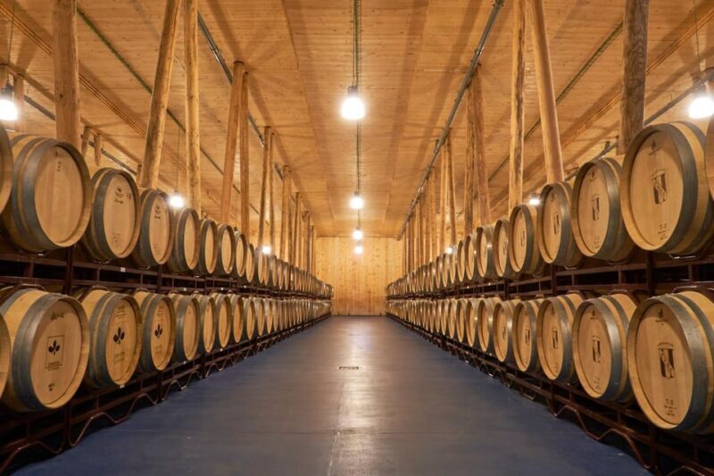 Burgos: Bela Winery - Villalba de Duero - Who Is This Tour Best For?