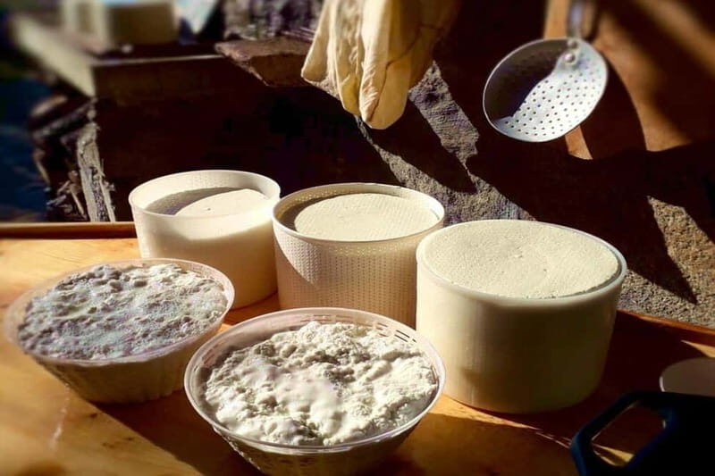 Burgos: Sardinian Pecorino Cheese Workshop - The Sum Up
