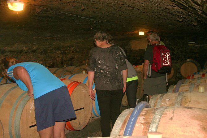 Burgundy Bike Tour with Wine Tasting from Beaune - Exploring Burgundy by Bike: A Deep Dive