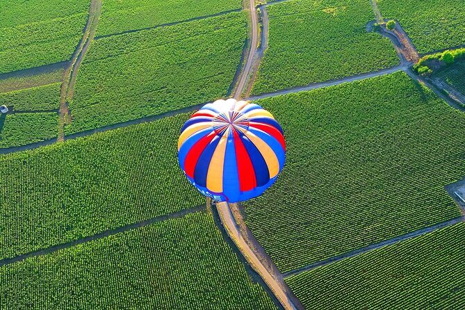 Burgundy Hot-Air Balloon Ride from Beaune - Final Thoughts: Is This Experience for You?