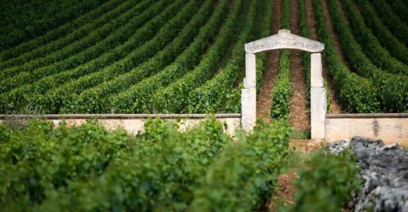 Burgundy Vineyards: Luxury Private Tours - FAQs