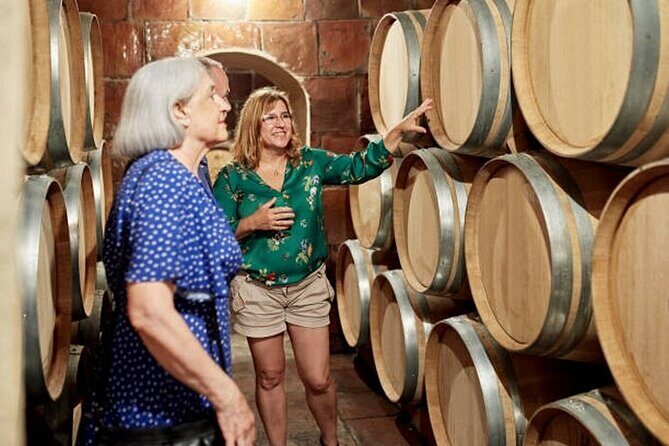 Burgundy wine tour - Private tour with professional tour guide ! - An In-Depth Look at the Burgundy Wine Tour Experience