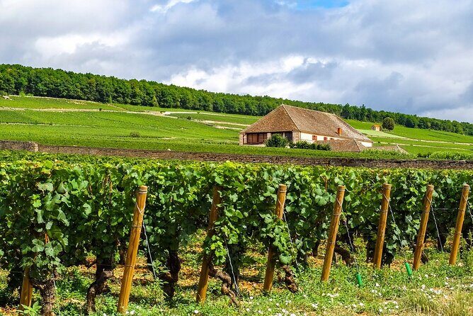 Burgundy wine tour - Private tour with professional tour guide ! - Final Thoughts on the Burgundy Private Wine Tour
