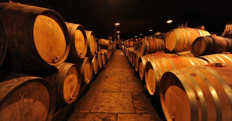 Burgundy Wines Full-Day Tasting Tour from Dijon - Key Points