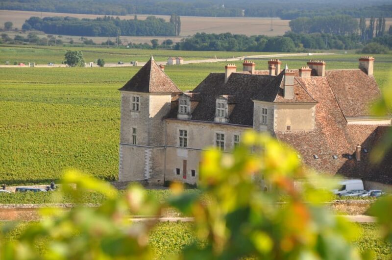 Burgundy Wines Full-Day Tasting Tour from Dijon - The Sum Up