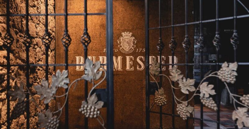 Burmester Cellar Tour - An Authentic Port Experience in the Heart of Vila Nova de Gaia