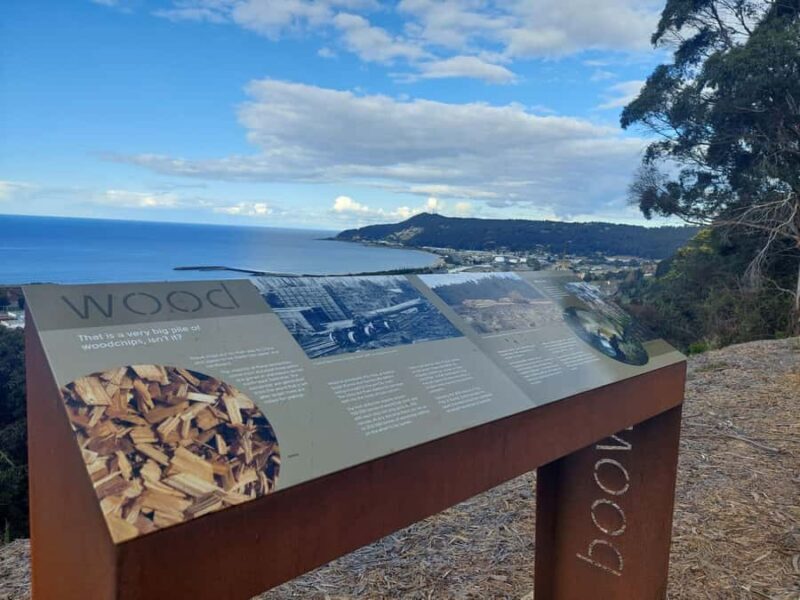 Burnie Attractions Bus - A Close Look at the Burnie Attractions Bus Experience