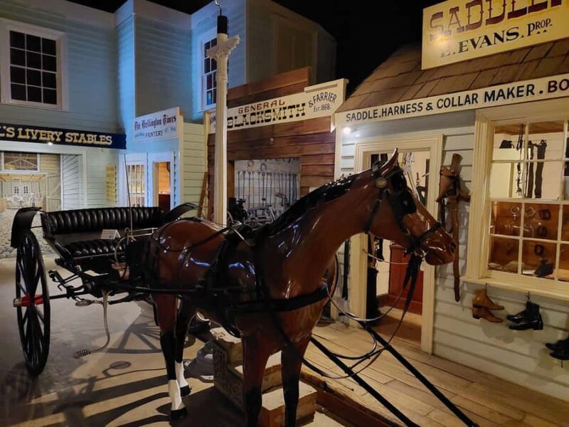 Burnie Attractions Bus - Emu Valley Rhododendron Gardens: A Botanical Gem