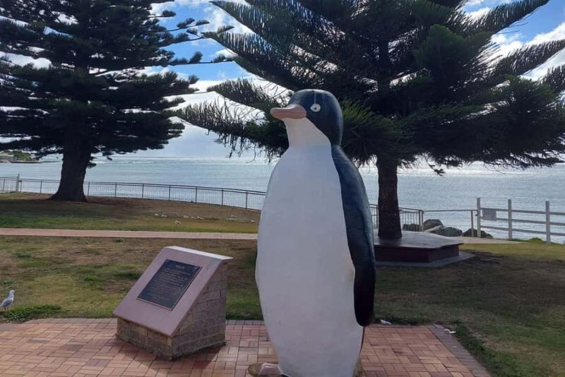 Burnie Attractions Bus - Final Thoughts: Is It Worth It?