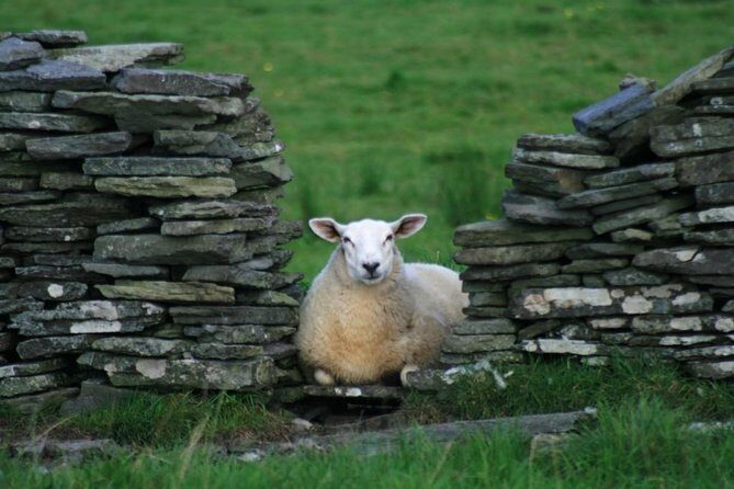Burren Guided Electric Bike tour with Poulnabrone Portal Tomb - An In-Depth Look at the Burren Electric Bike Tour