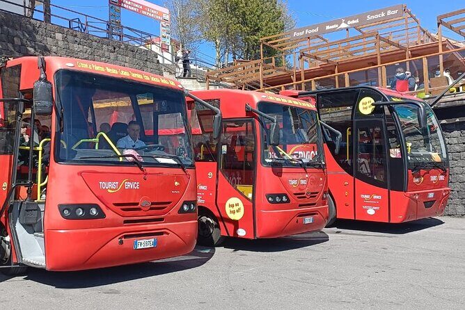 Bus Etna Experience of Italy - Final Thoughts: Is It Worth It?