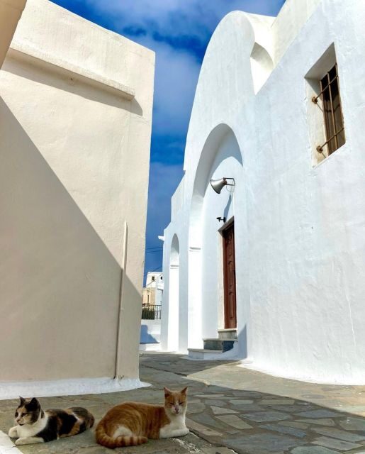 Bus Tour Around the island of Naxos - The Good, the Great, and the Not-So-Good