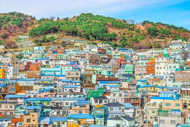 Busan 6hr Private Walking Tour with Certified Guide - Discovering Busan: A Guide to Your 6-Hour Private Tour
