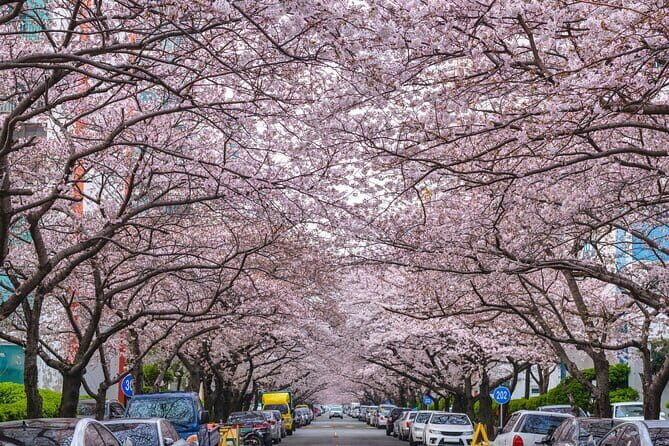 Busan City Top Attractions Full day Tour - Final Words