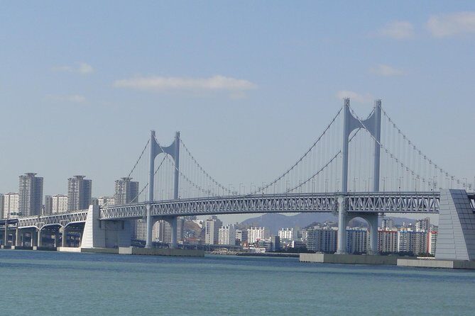 Busan City Tour Including Haedong Yonggungsa Temple And APEC House - The Full Experience: What You Can Expect from This Busan City Tour