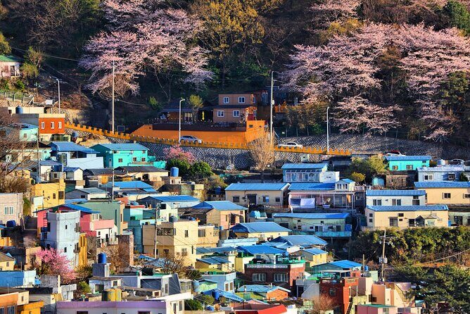 Busan Cultural Highlights and Scenic Full-Day Tour - Key Points