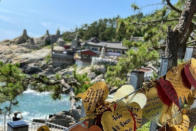 Busan Day Trip from Seoul by KTX - Private Tour with Local Guide - The Sum Up