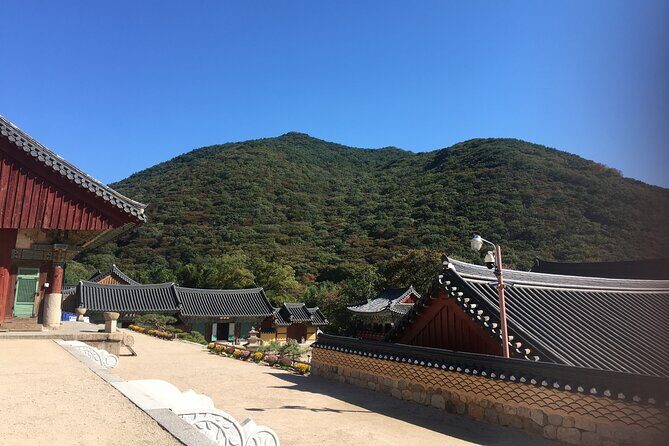 Busan day trip including Gamcheon culture village from Seoul by KTX train - Practical Tips for Travelers