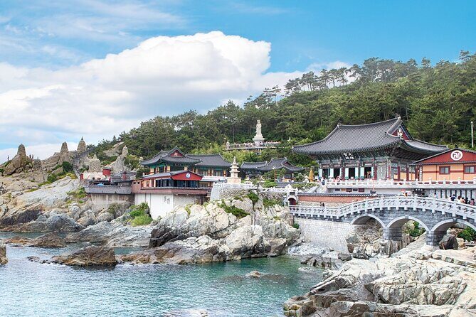 Busan Full-Day City Tour with Gamcheon Village, Sea Temple & more - Final Thoughts