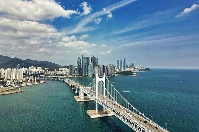Busan Gyeongju Customizable Private Taxi or Van Tour (up to 8pax) - Who Will Love This Tour?
