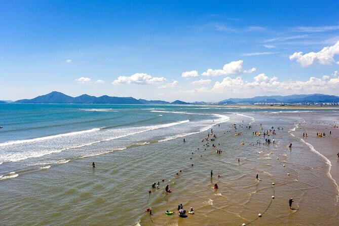 Busan Gyeongju Customizable Private Taxi or Van Tour (up to 8pax) - Final Thoughts