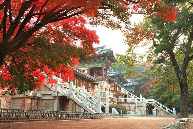 Busan private tour - How the Price Reflects the Value