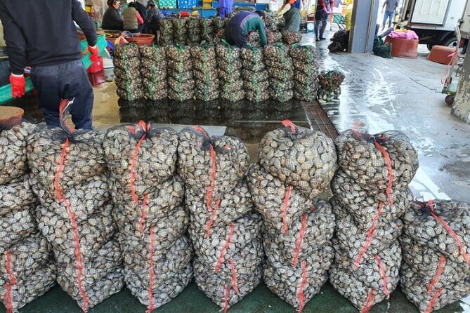 Busan seafood tour : Cod Auction and Clam Auction in Winter - Final Thoughts