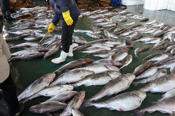 Busan seafood tour : Cod Auction and Clam Auction in Winter - FAQ