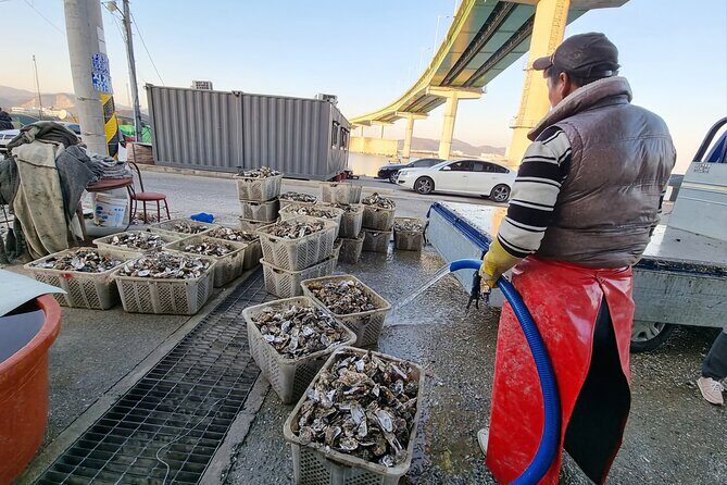 Busan Seafood Tour : Oyster village Tour with Oyster cuisines - What Makes This Tour Stand Out