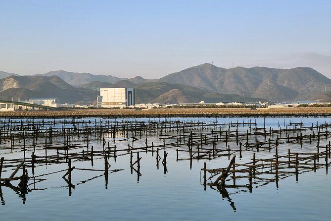 Busan Seafood Tour : Oyster village Tour with Oyster cuisines - Who Will Enjoy This Tour?