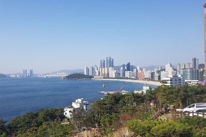 Busan Shore Excursion; Private City Tour - Discovering Busan: What the Tour Offers
