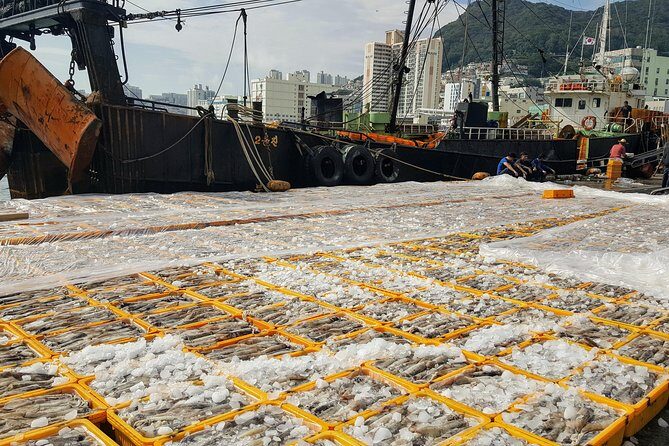 Busan Shore Excursion; Private City Tour - FAQ