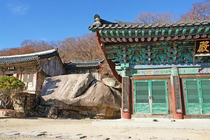 Busan Sightseeing Tour Including Gamcheon Culture Village and Beomeosa Temple - Who Should Consider This Tour?