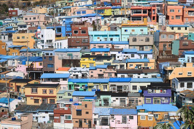 Busan Sightseeing Tour Including Gamcheon Culture Village and Beomeosa Temple - Final Thoughts