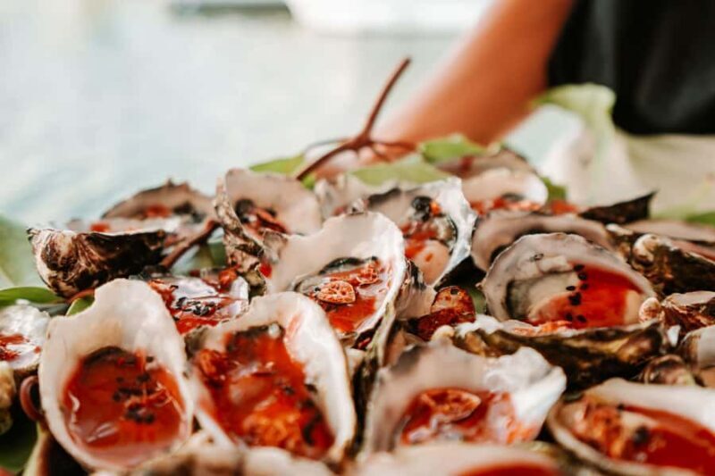 Bushtucker Cultural Cruise - Who Will Love This Tour?