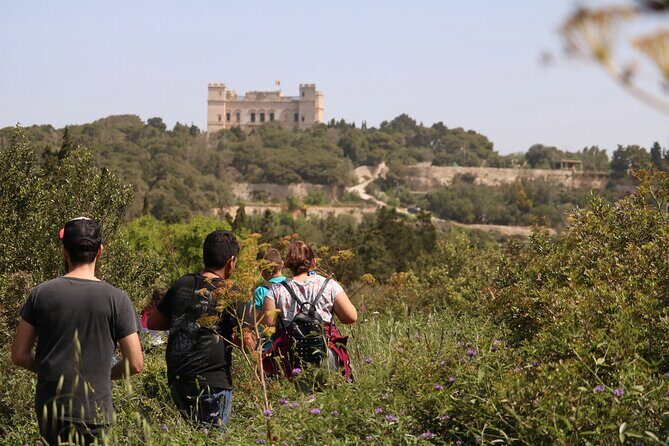 Buskett Woodlands and Dingli Cliffs Nature Walking Private Tour - A Deep Dive into the Experience