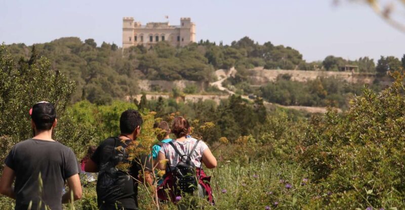 Buskett Woodlands and Dingli Cliffs Private Nature Tour - Key Points