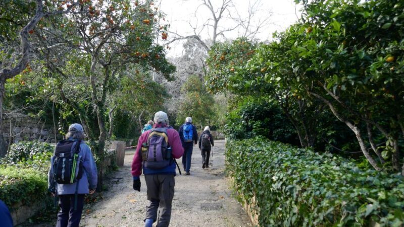Buskett Woodlands and Dingli Cliffs Private Nature Tour - Frequently Asked Questions (FAQs)