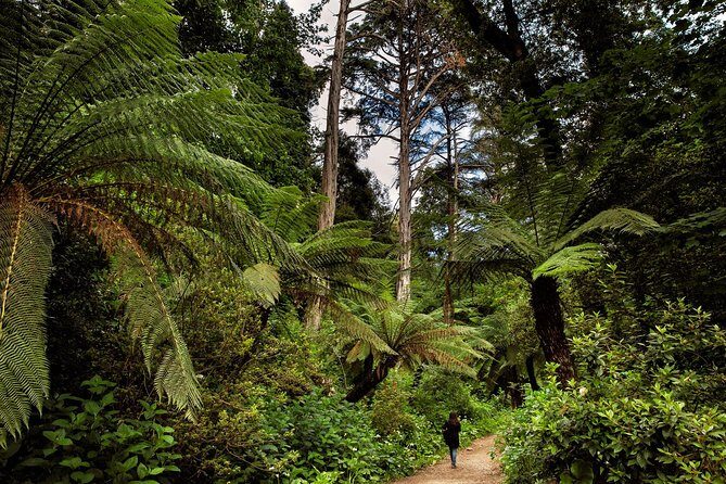 Bussaco Palace, Gardens & Forest - The Sum Up