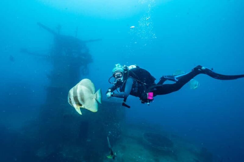 Busselton / Dunsborough : HMAS Swan Wreck Scuba Dive - An In-Depth Look at the HMAS Swan Wreck Tour