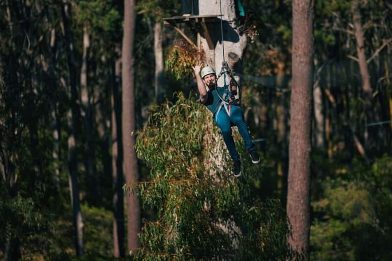 Busselton: Forest Adventure with Zip Lining and Rope Course - Practical Details for Your Visit