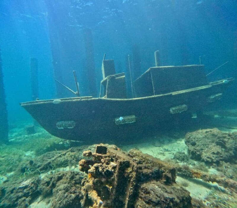 Busselton: Jetty Snorkeling Tour with Underwater Sculptures - A Closer Look at the Busselton Snorkeling Experience