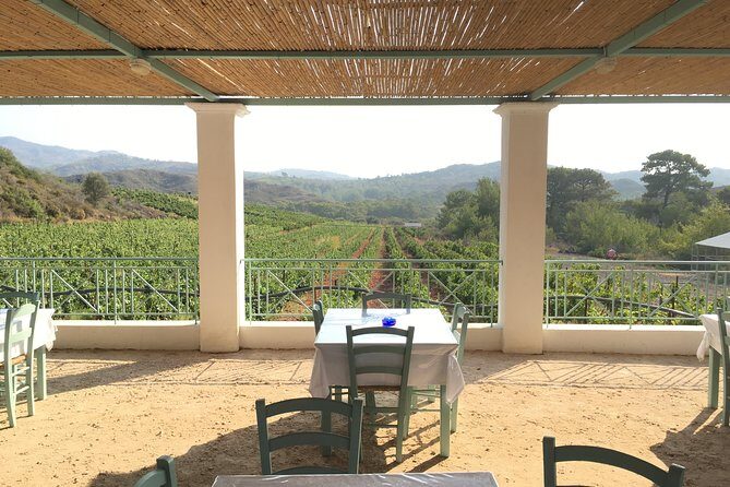 Butterflies Valley & Wine Tasting Experience Private Tour - Key Points
