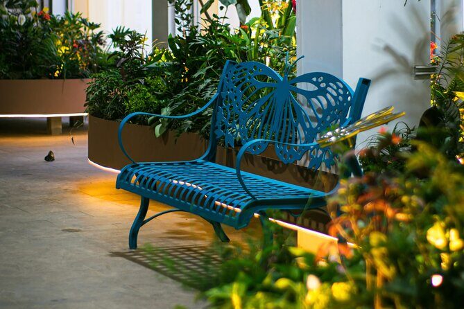 Butterfly Experience Nature Park Admission - A Closer Look at the Butterfly Experience