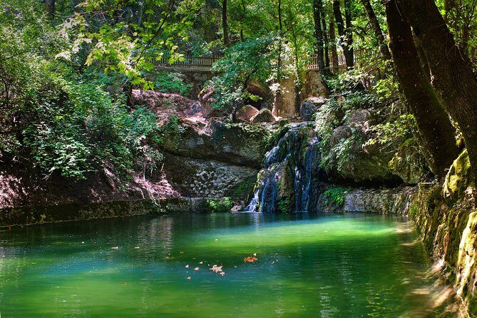 Butterfly Valley & Wine, Olive Oil, Honey Tasting Tour (Small Group) - Wine and Olive Oil Tasting