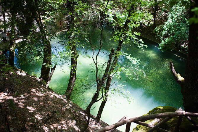 Butterfly Valley & Wine, Olive Oil, Honey Tasting Tour (Small Group) - Price and Value