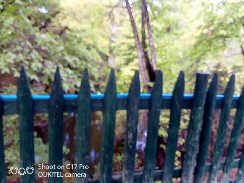 Butterfly valley,Farfalle,Schmetterling,Papillon & transfer! - Key Points