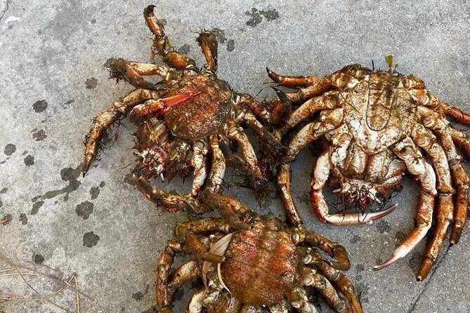 Buy, Cook & Taste-Gastronomic Tour North Portugal - Introduction: Why This Tour Stands Out