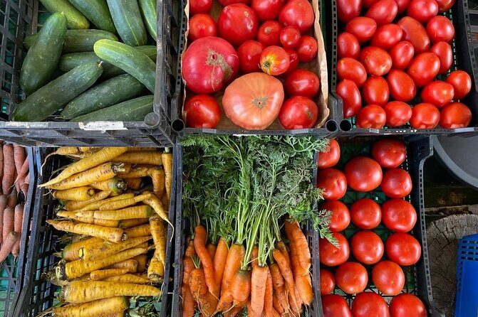 Buy, Cook & Taste-Gastronomic Tour North Portugal - FAQ